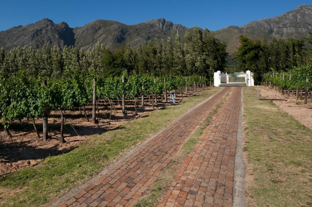 La Galiniere Guest Cottages Franschhoek Ngoại thất bức ảnh