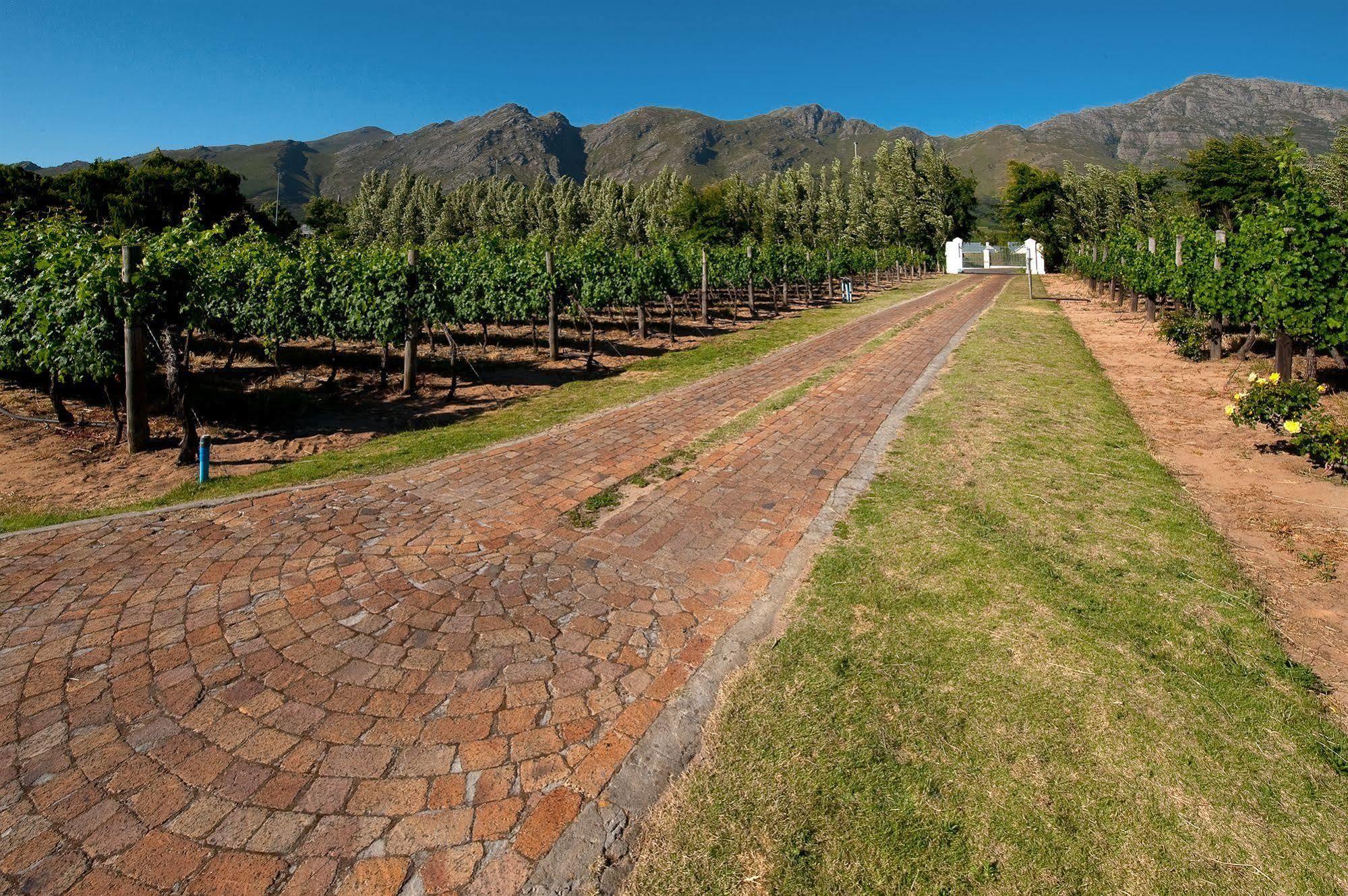 La Galiniere Guest Cottages Franschhoek Ngoại thất bức ảnh